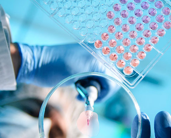 Clinical Research